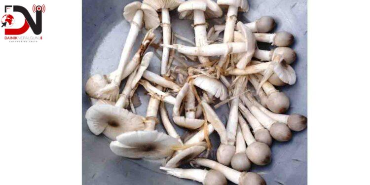 थारु समुदायका महिला ‘भेंम्टी’ खोज्न व्यस्त