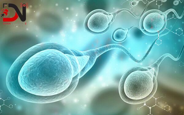 डिम्व निष्काशन र भण्डारणमा रोक लगाउन आदेश