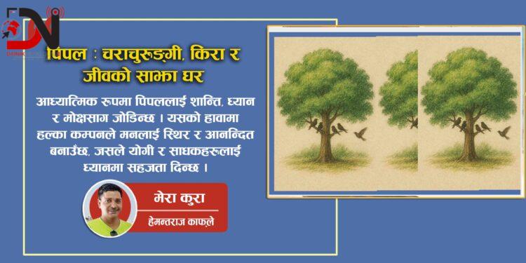 पिपल : चराचुरुङ्गी, किरा र जीवको साझा घर