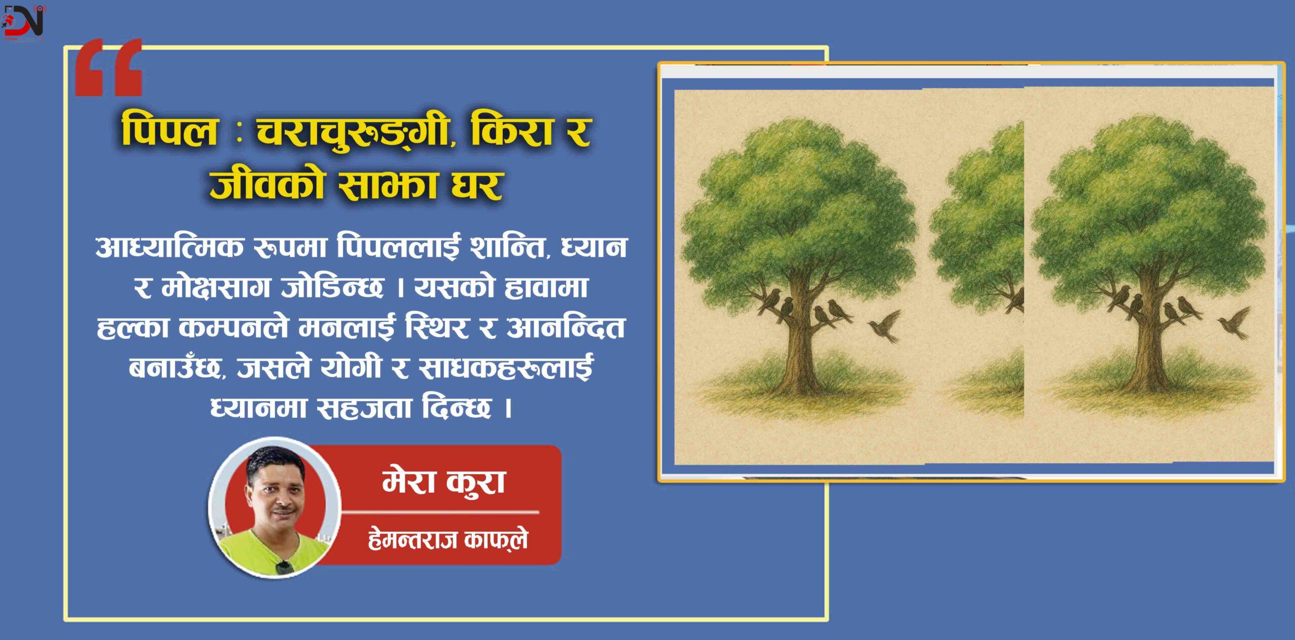 पिपल : चराचुरुङ्गी, किरा र जीवको साझा घर