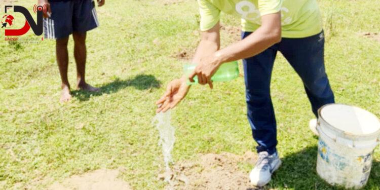 सामुदायिक वनमा दुई हजार बढी बिरुवा रोपियो