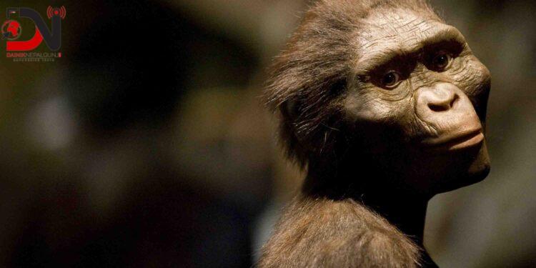 मानव पुर्खा लुसीको प्रागमा पहिलोपटक युरोपेली प्रदर्शन