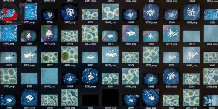 मानव मिनी–मस्तिष्कले चलाउँदैछ नयाँ पुस्ताको कम्प्युटर ‘वेटवेयर’