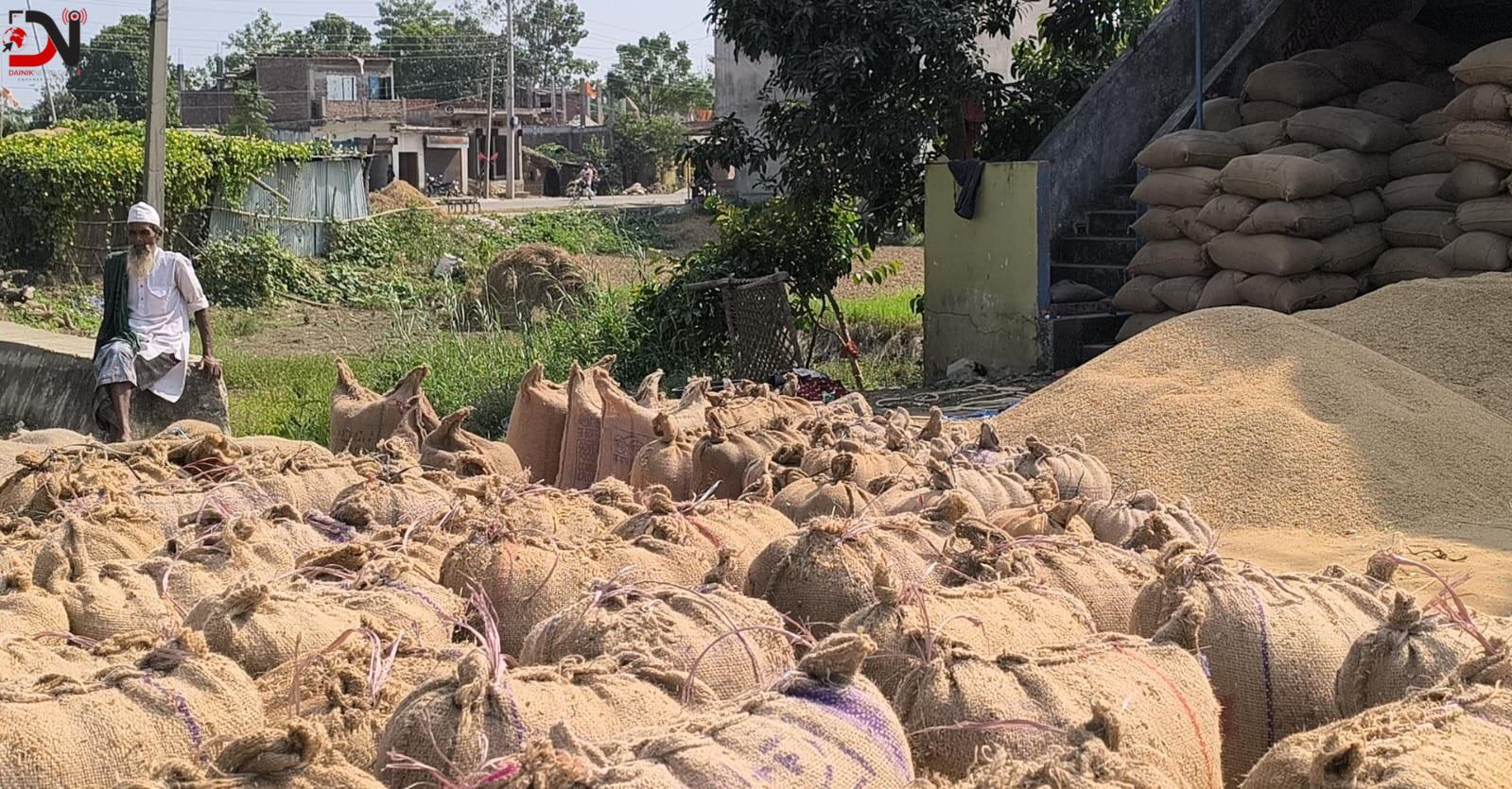 किसानले कहिले पाउने धानको मूल्य