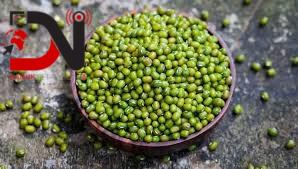 सरकारी जमिनमा व्यावसायिक मुङखेती