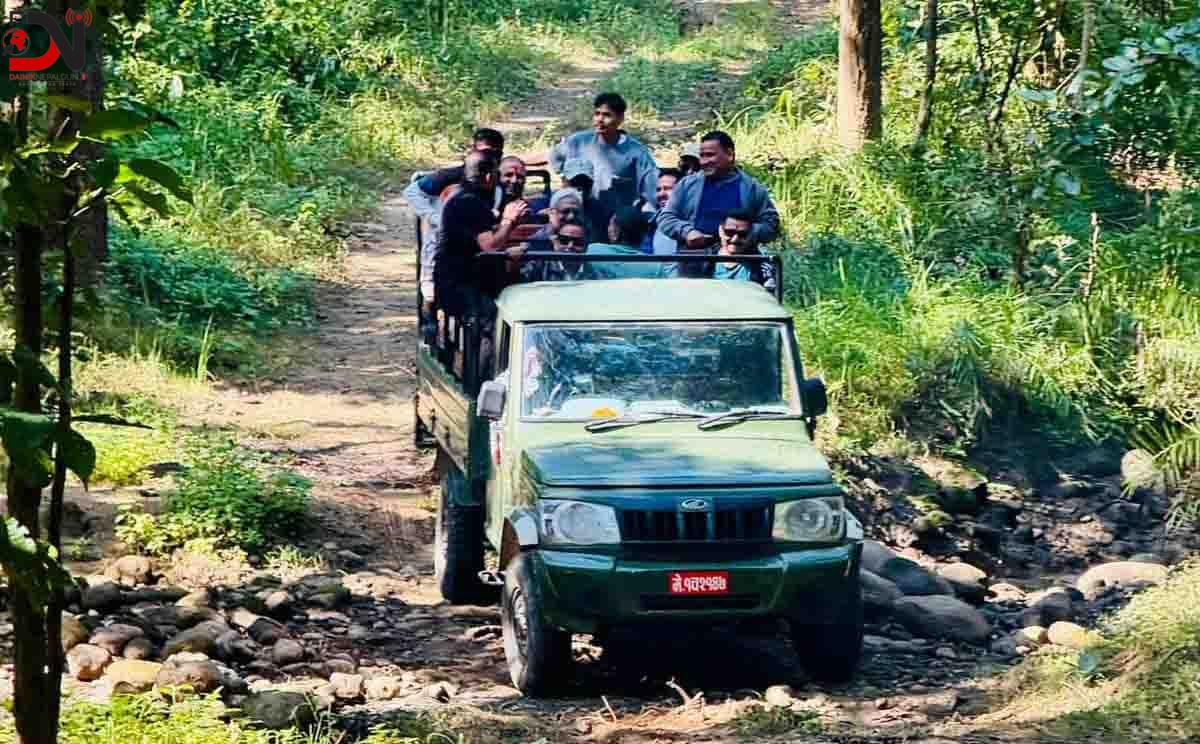 जङ्गल सफारीसँगै बाँके निकुञ्जमा पर्यटकको चहलपहल बढ्यो