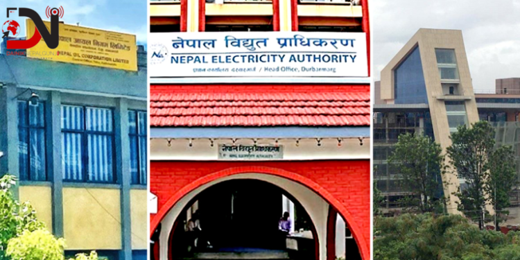 सार्वजनिक संस्थानमा गरेको करिब ४७ अर्ब लगानीको हिसाब गडबड