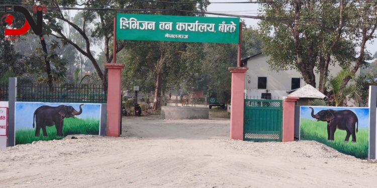 मुहार फेर्दै डिभिजन वन कार्यालय बाँके