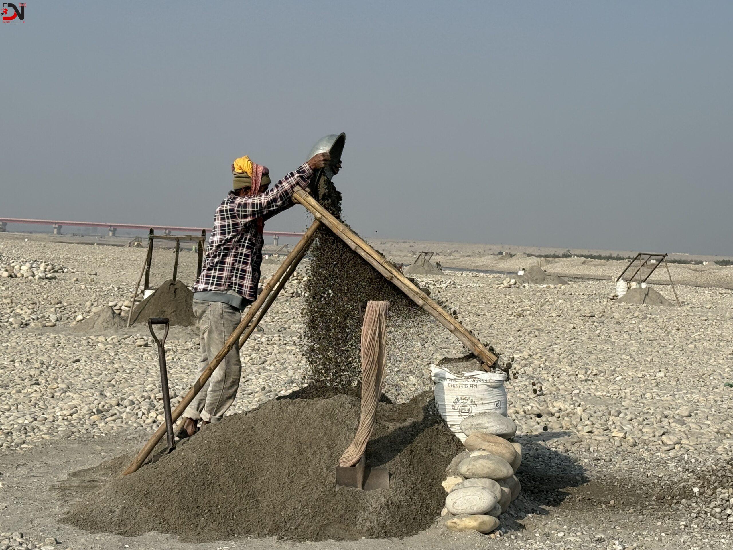 बाँकेमा चिसोले मर्न थाले मौरी