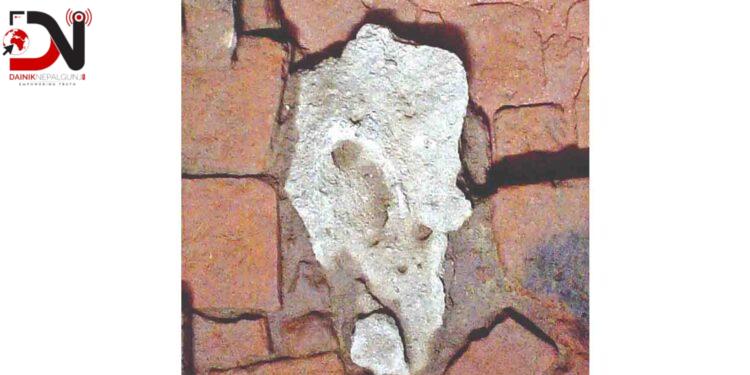 बुद्ध भगवानको जन्मबिन्टदुकोे मौन साक्षीः ‘जन्मस्मारक शिला’