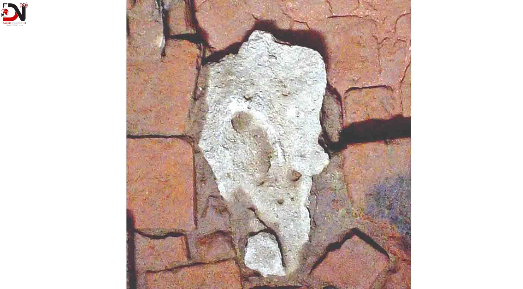 बुद्ध भगवानको जन्मबिन्टदुकोे मौन साक्षीः ‘जन्मस्मारक शिला’