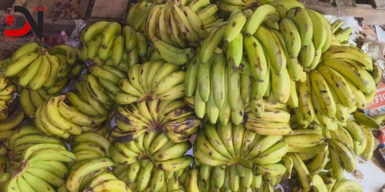 २० हजारको फलफुल, तरकारी बरामद