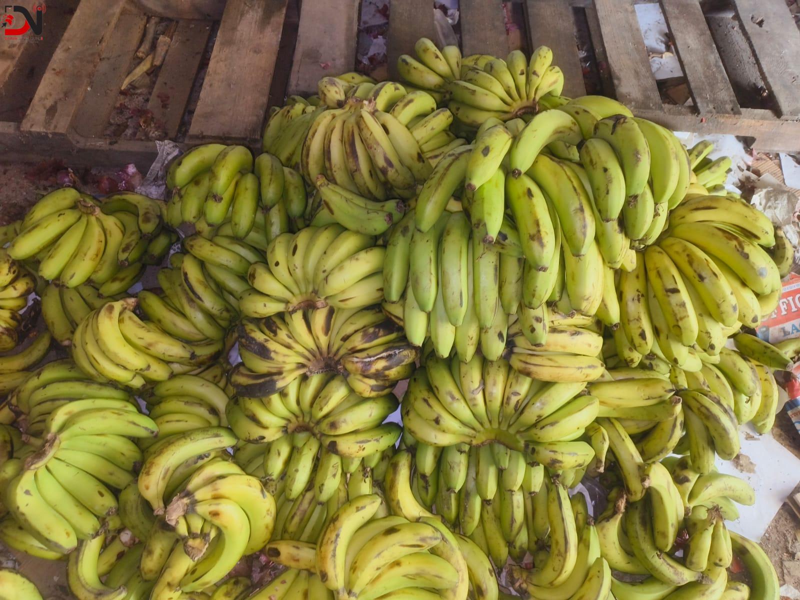 २० हजारको फलफुल, तरकारी बरामद