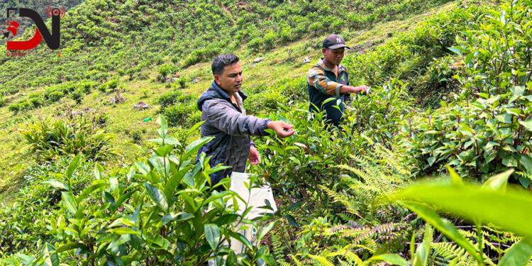 वडाध्यक्षको एउटा जुक्तिले बदलियो गाउँको परिचय