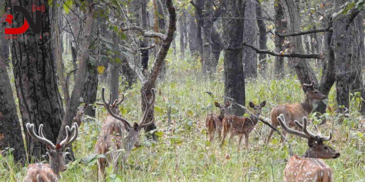 छ महिनामा दुई हजार छ सय पर्यटकले गरे शुक्लाफाँटा भ्रमण