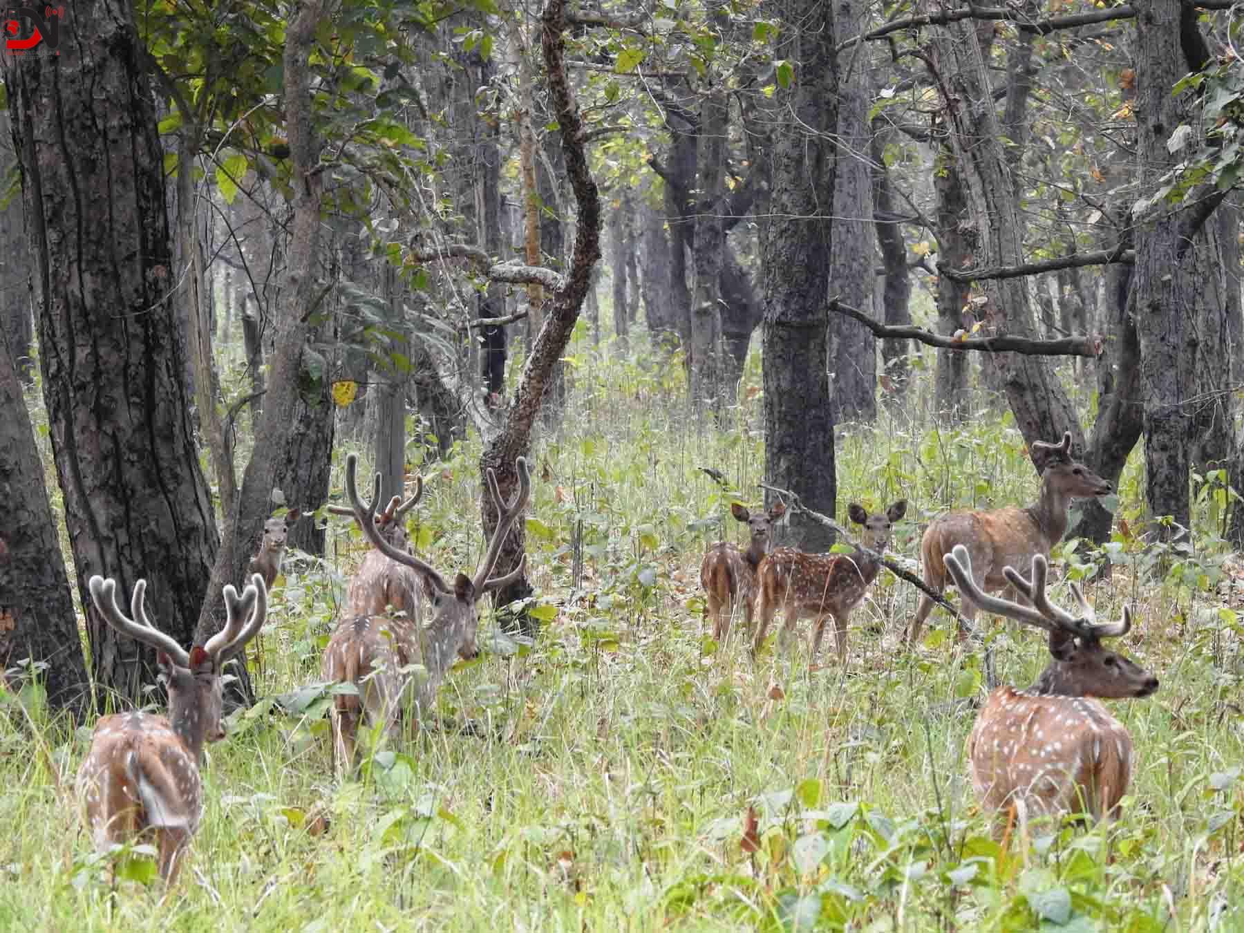 छ महिनामा दुई हजार छ सय पर्यटकले गरे शुक्लाफाँटा भ्रमण
