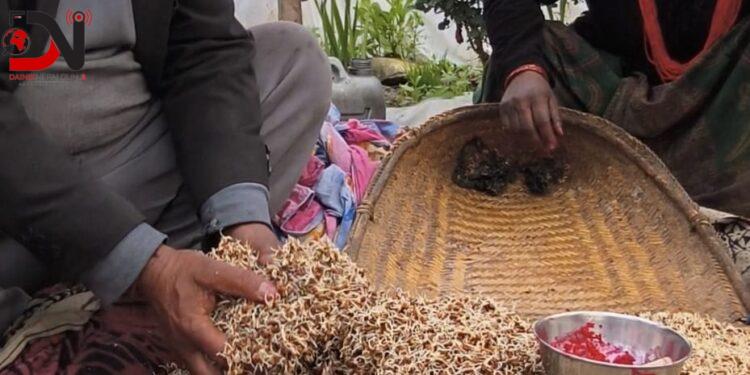 सांस्कृतिक पर्वः ‘चैत बारुवाँ, सोरुवाँ र बिसुवाँ’