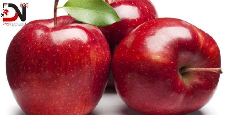 जुम्लामा बाउन्न हेक्टर क्षेत्रफलमा फुजी स्याउको खेती