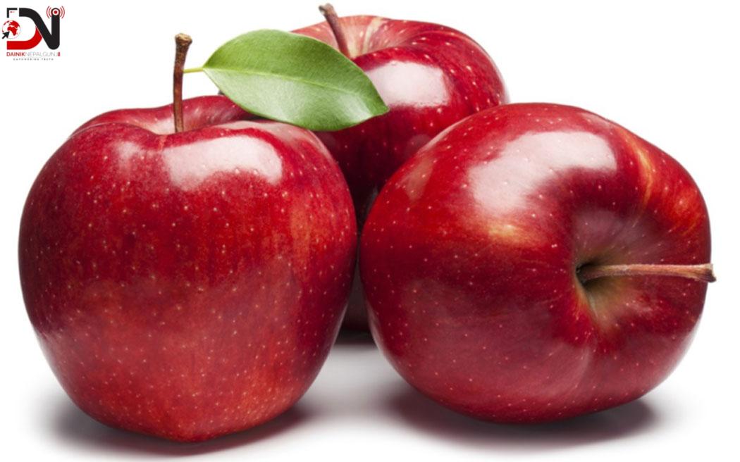 जुम्लामा बाउन्न हेक्टर क्षेत्रफलमा फुजी स्याउको खेती