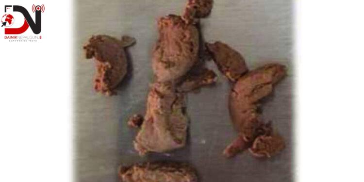 नेपालगन्जमा ब्राउन सुगर र ट्रामाडोलसहित दुई पक्राउ