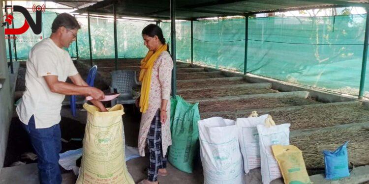 रासायनिक मलको विकल्प जैविक मल