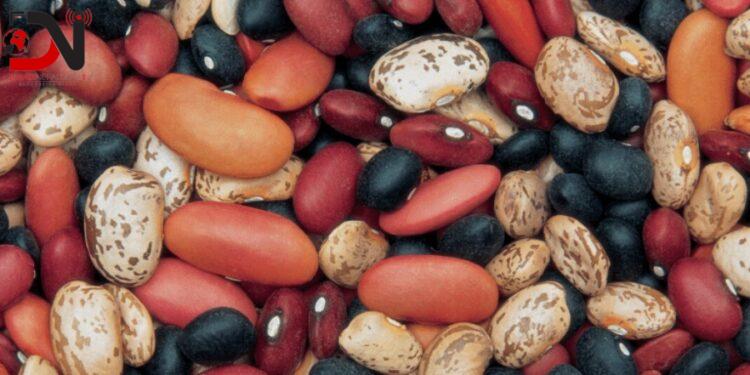 खाद्य संस्थानद्वारा ४३ लाखको सिमी खरिद