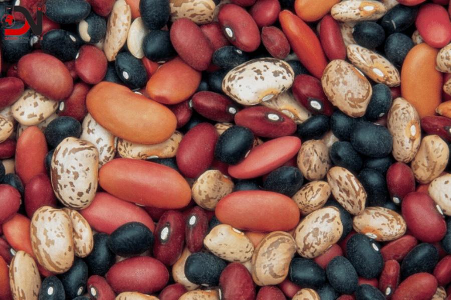 खाद्य संस्थानद्वारा ४३ लाखको सिमी खरिद