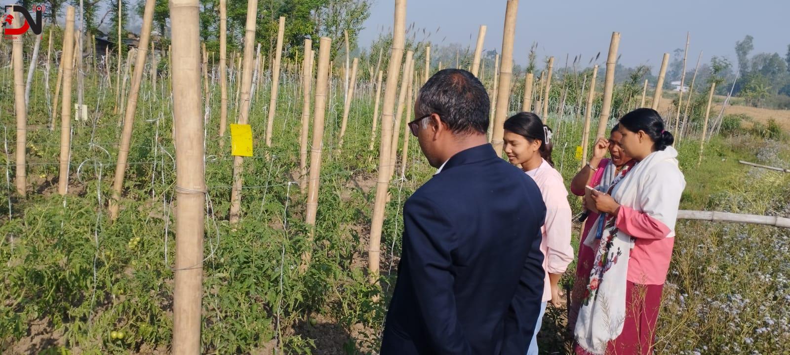 विषादीरहित तरकारी उत्पादनमा किसान