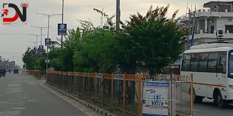 गुलमोहर र बेगमबेलीले सजिँदै नेपालगञ्ज