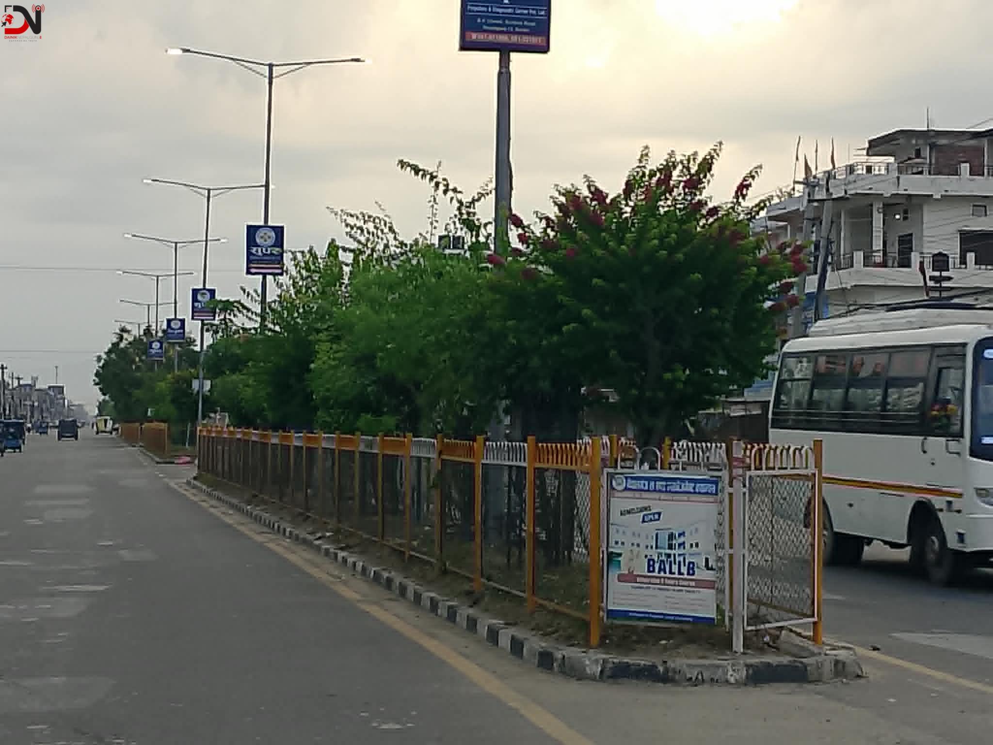 गुलमोहर र बेगमबेलीले सजिँदै नेपालगञ्ज