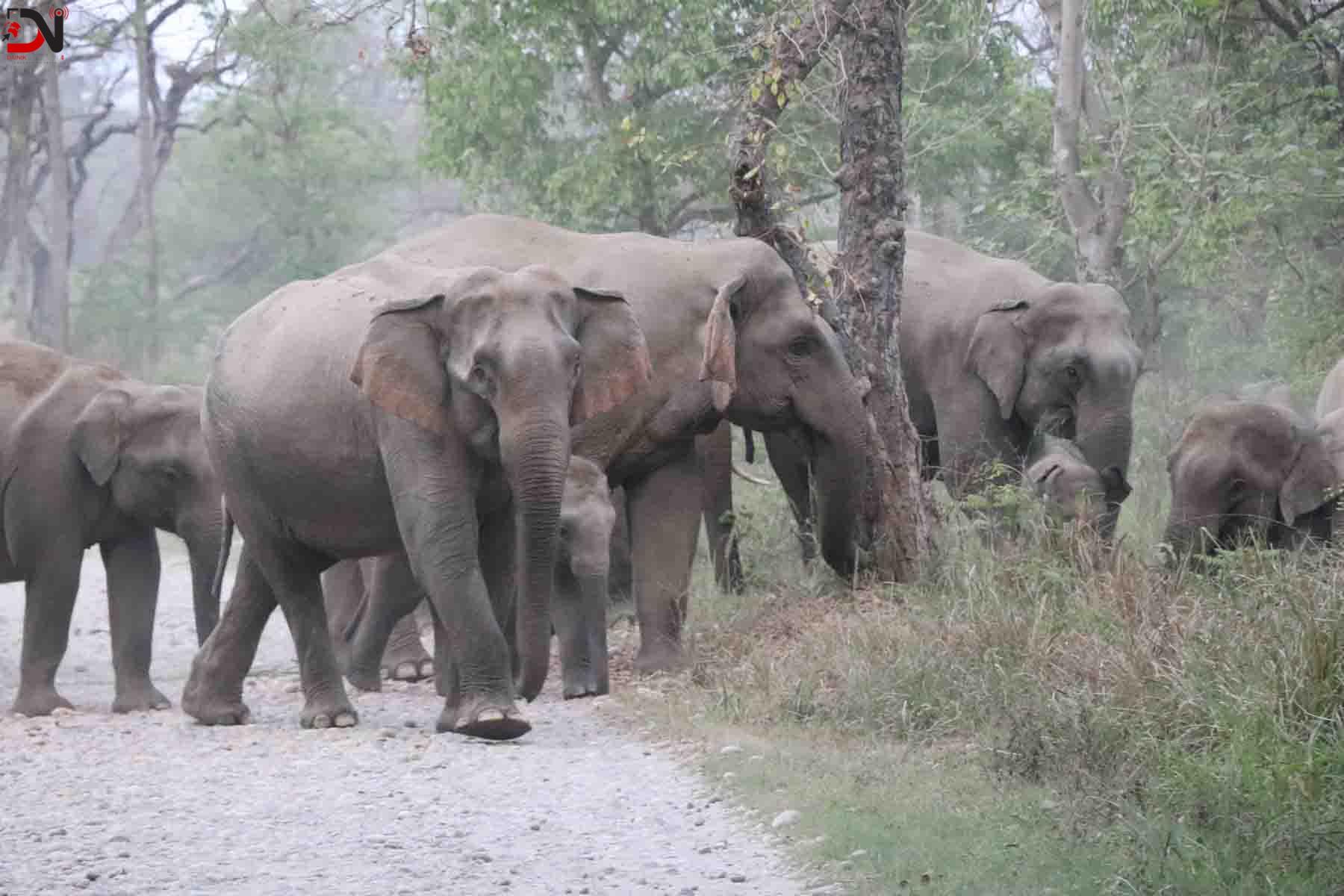 वन्यजन्तुप्रतिको बद्लिँदो दृष्टिकोण