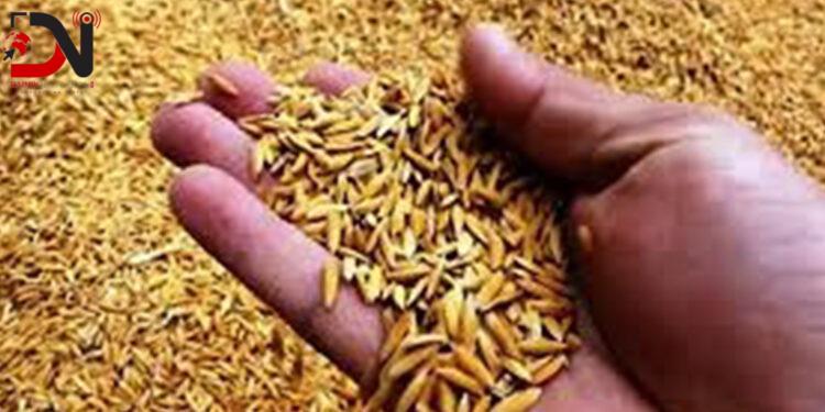 पानी नपर्दा धानको ब्याड राख्न ढिलाइ
