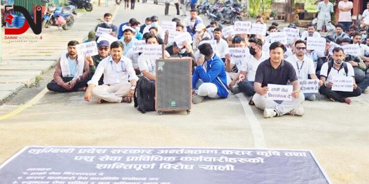 धर्नामा प्रदेशका करार कृषि तथा पशु सेवा प्राविधिक