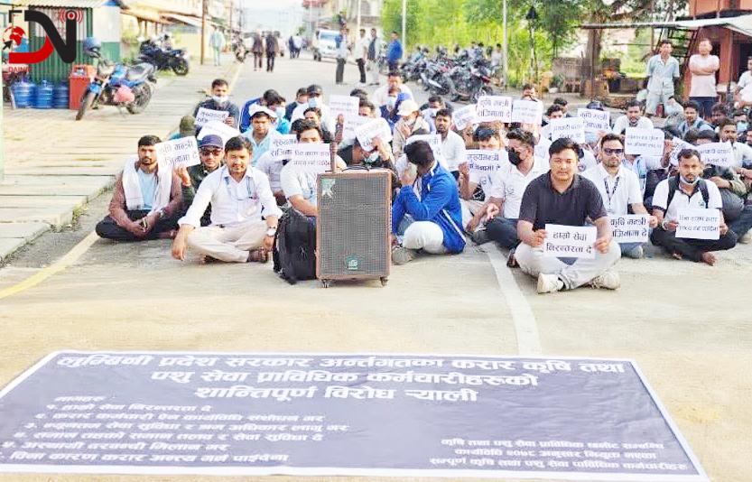 धर्नामा प्रदेशका करार कृषि तथा पशु सेवा प्राविधिक