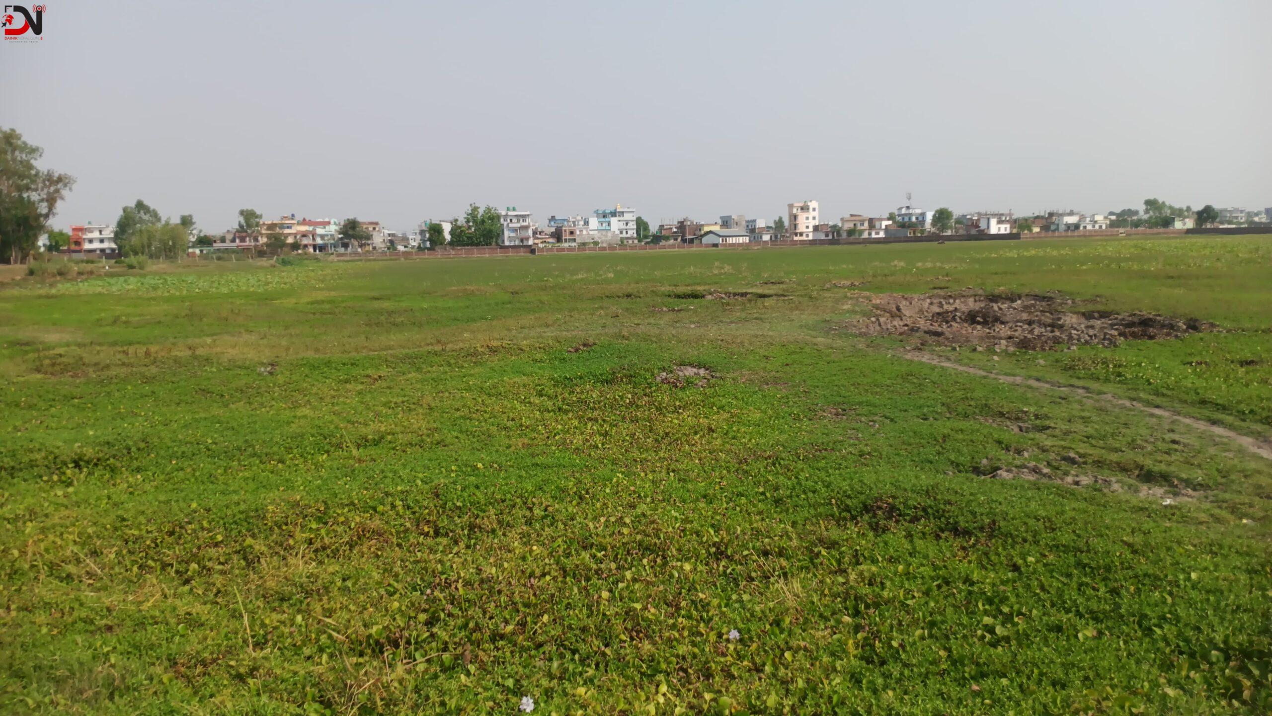 बन्ला क्रिकेट मैदान ?