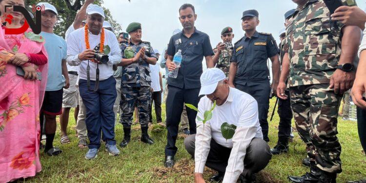 लुम्बिनीमा २५ लाख बिरुवा रोप्ने लक्ष्य