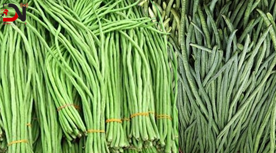 मानव स्वास्थ्यमा असर पार्ने विषादी भएका तरकारी र दूधमा फेला