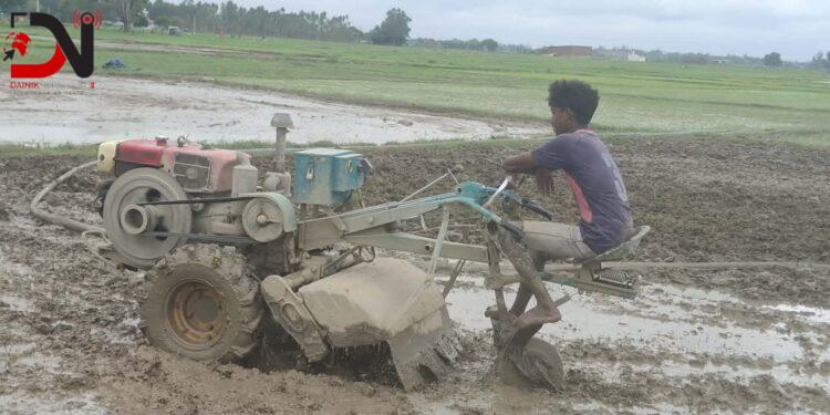 धान रोपाइँमा हराए गोरु र राँगा, बढ्यो ट्याक्टर र पावर टिलरको प्रयोग