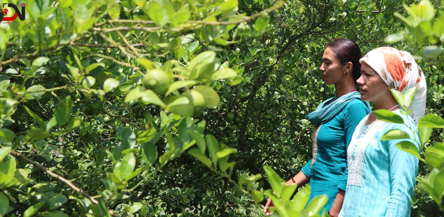 युट्युब हेरेरै व्यावसायिक कृषिमा शेर्पा