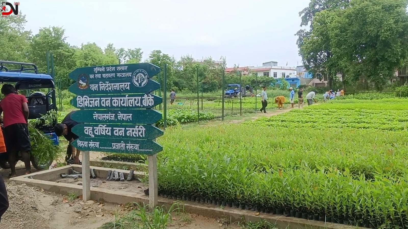 हरियाली प्रवर्द्धन गर्न छ लाख बिरुवा वितरण