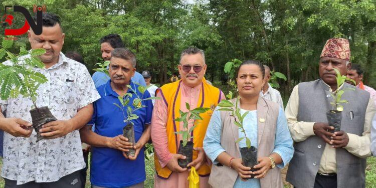 कोहलपुरमा हरियाली अभियान