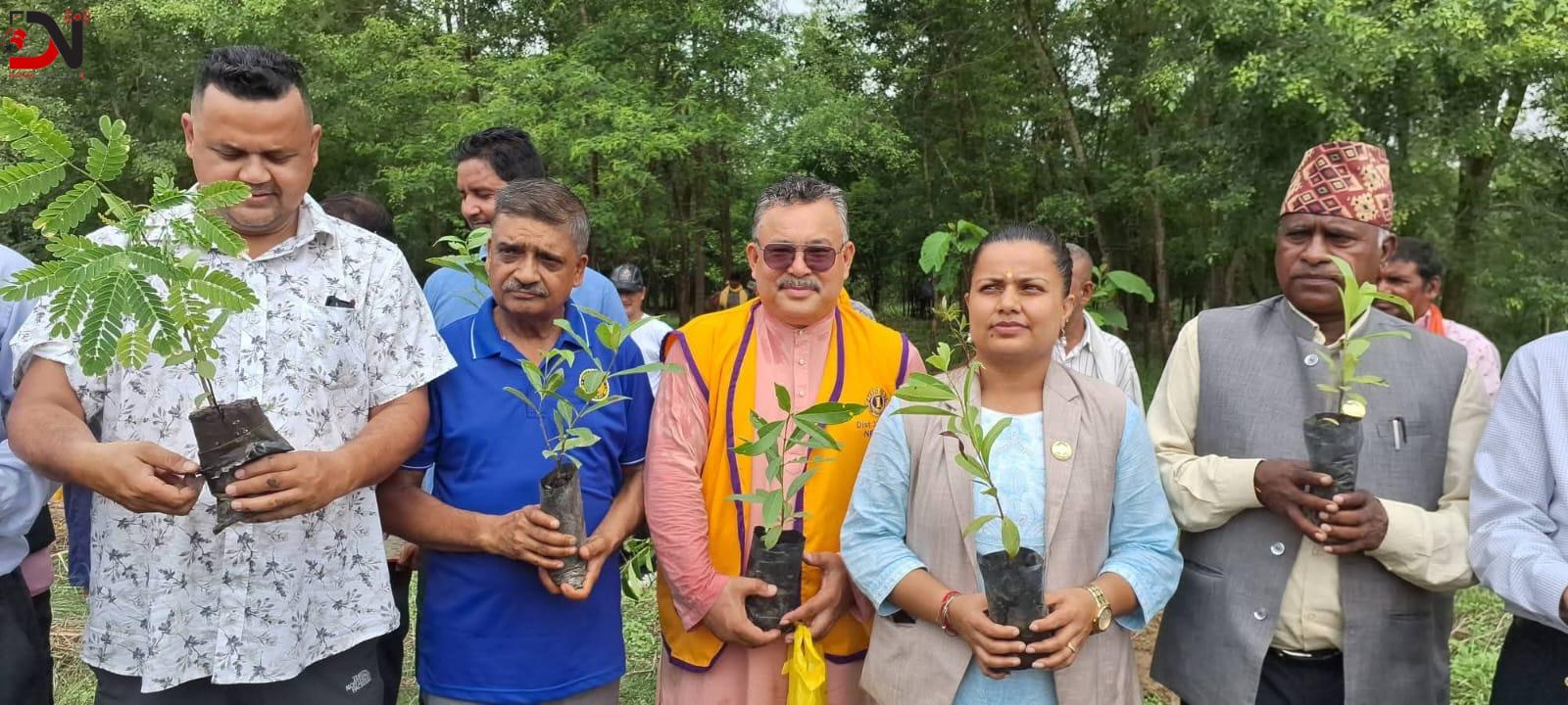 कोहलपुरमा हरियाली अभियान