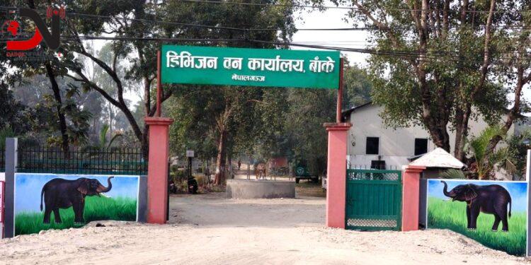 बाँकेमा सङ्कटमा परेका १९१ वन्यजन्तुको उद्धार