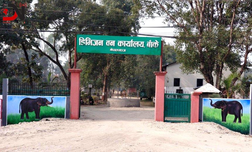बाँकेमा सङ्कटमा परेका १९१ वन्यजन्तुको उद्धार