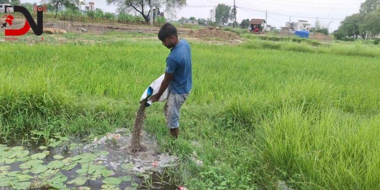 ग्याँस बिक्रेतालाई जरिवाना, दाल नष्ट