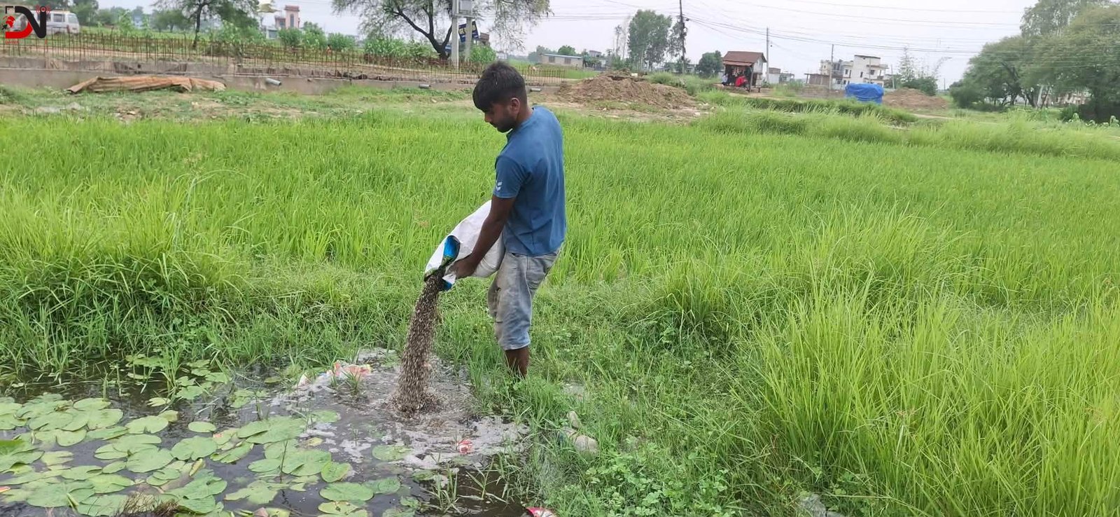 ग्याँस बिक्रेतालाई जरिवाना, दाल नष्ट