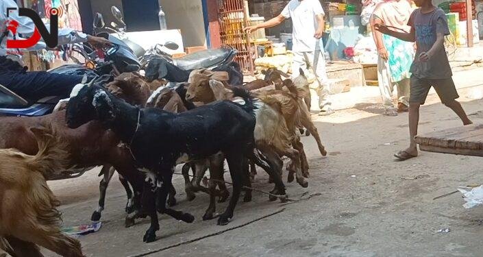 निगरानीकै बीच सीमावर्ती बाटोबाट तस्करी