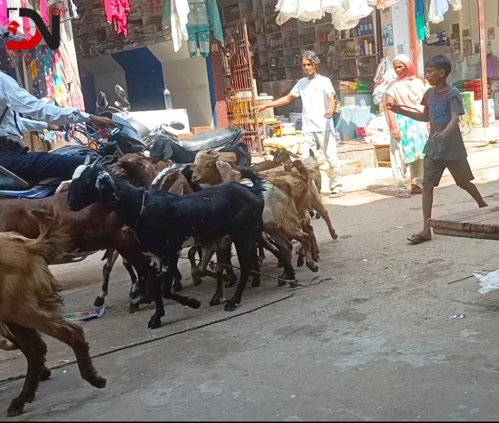 निगरानीकै बीच सीमावर्ती बाटोबाट तस्करी