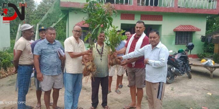 कृषकलाई कालो बेसार