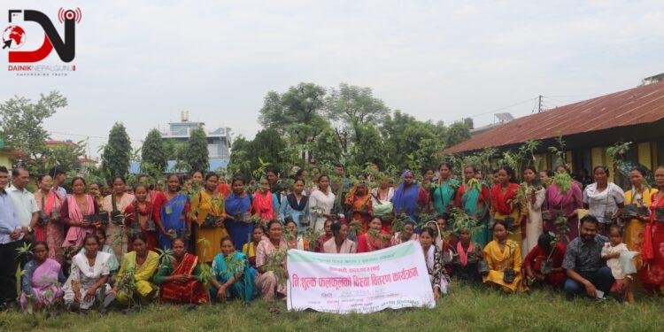 युनिकद्वारा सदस्यलाई बिरुवा